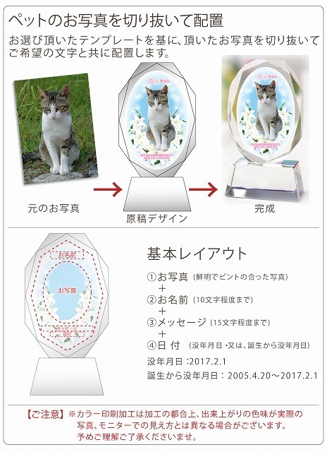 商品画像6