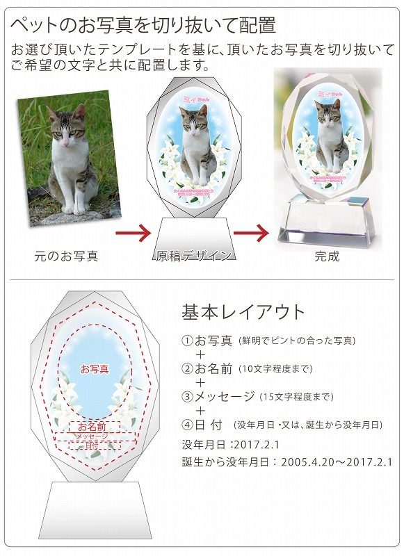 商品画像5
