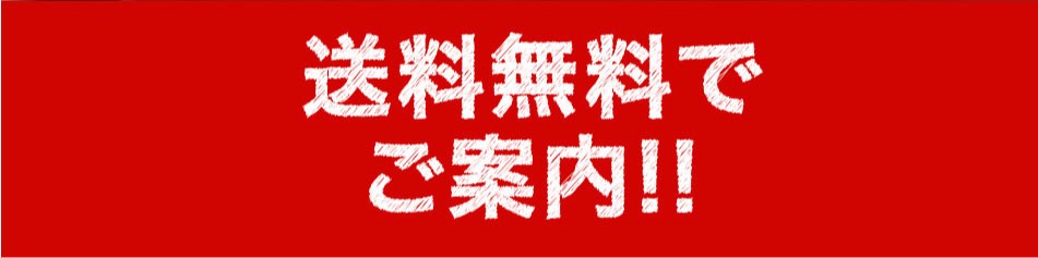 老眼鏡 シニアグラス リーディンググラス ブルーライトカット 首掛け 802 全2色 ネコポス発送 送料無料 オープン記念