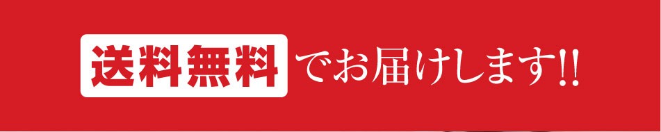 送料無料 老眼鏡 IZIPIZI イジピジ リーディンググラス シニアグラス