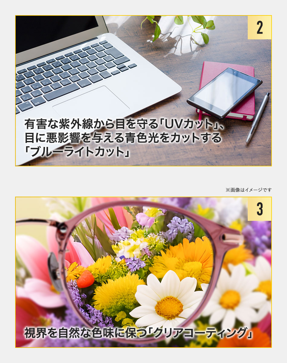 送料無料 ミエルPro