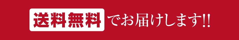 RESA ルーペグラス 拡大鏡 送料無料