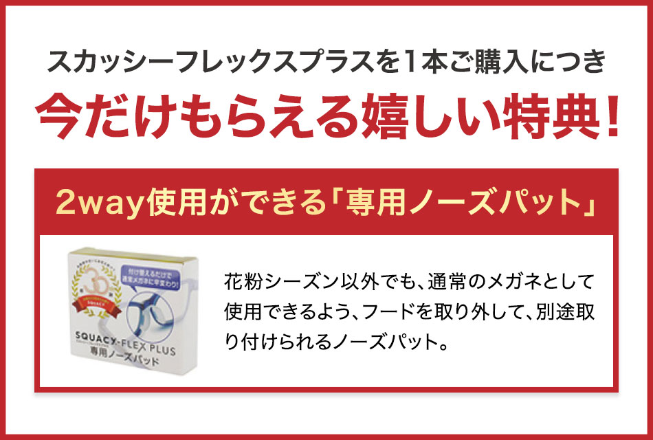 限定特典プレゼント