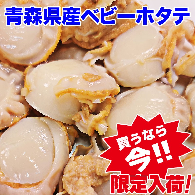 訳あり 生食OK ベビーほたて 2L （61-80粒）青森県産 1kg セール 送料無料 ※賞味期限 2022年7月31日  :1kbabht-11030:北前船の贈り物 - 通販 - Yahoo!ショッピング