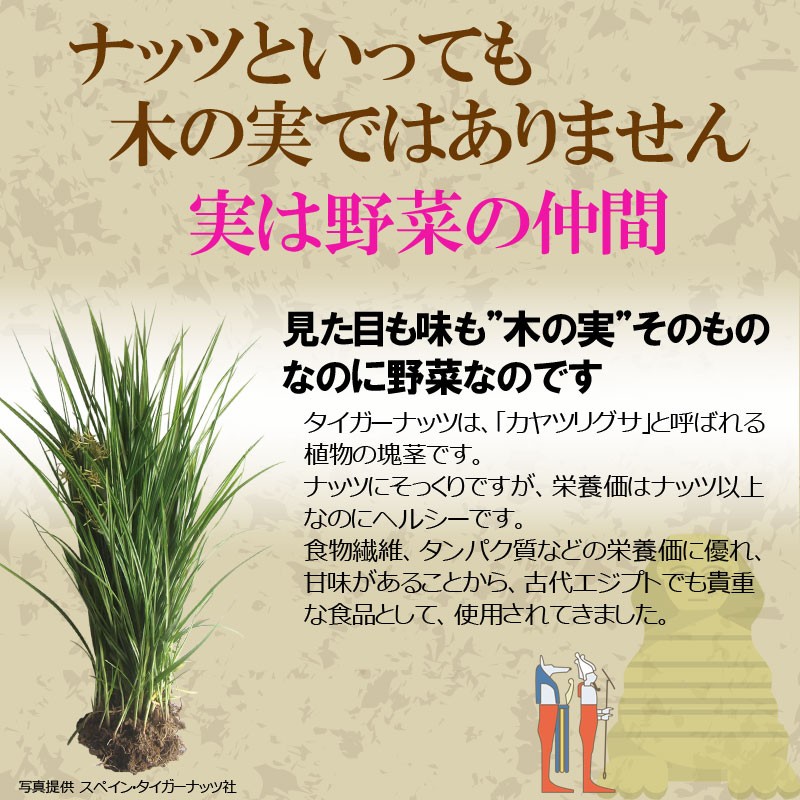 GABAの恵 国産 巨大胚芽米 ギャバ 500g×1袋 玄米 白米モードで炊けます 送料無料 国内産100％ お米 スーパーフード  :500gaba-11013:ゆみ's キッチン - 通販 - Yahoo!ショッピング