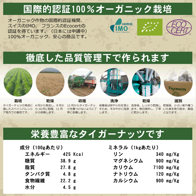 GABAの恵 国産 巨大胚芽米 ギャバ 500g×1袋 玄米 白米モードで炊けます 送料無料 国内産100％ お米 スーパーフード  :500gaba-11013:ゆみ's キッチン - 通販 - Yahoo!ショッピング