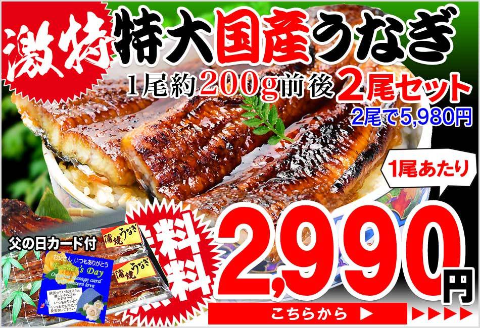 アウトレット 送料無料 敬老の日 プレゼント 70代 うなぎ 蒲焼き 国産 ギフト 鰻 4尾 特大 約230 250g前後 4尾 60代 80代 セール 宮崎 鹿児島県産 送料無料 毎週更新