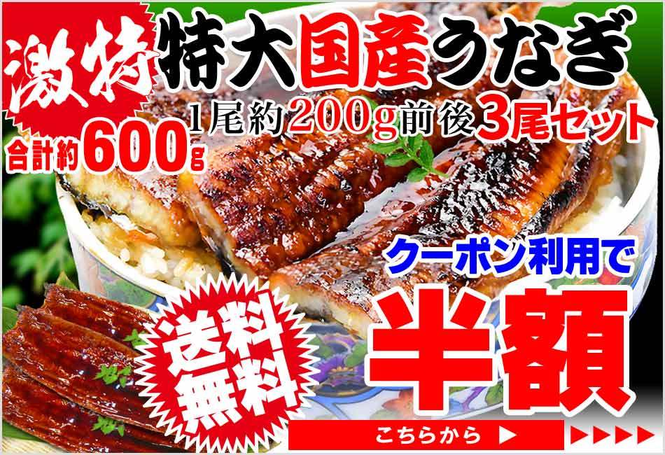 営業 敬老の日 プレゼント うなぎ 蒲焼き 国産 ギフト 鰻 うなぎ蒲焼 セール 九州産 4尾 特大(約230g〜250g前後×4尾)60代 70代 80代 宮崎・鹿児島県産 安全 営業 敬老の日 プレゼント うなぎ 蒲焼き 国産 ギフト 鰻 うなぎ蒲焼 セール 九州産 4尾 特大(約230g〜250g前後×4尾)60代 70代 80代 宮崎・鹿児島県産 安全