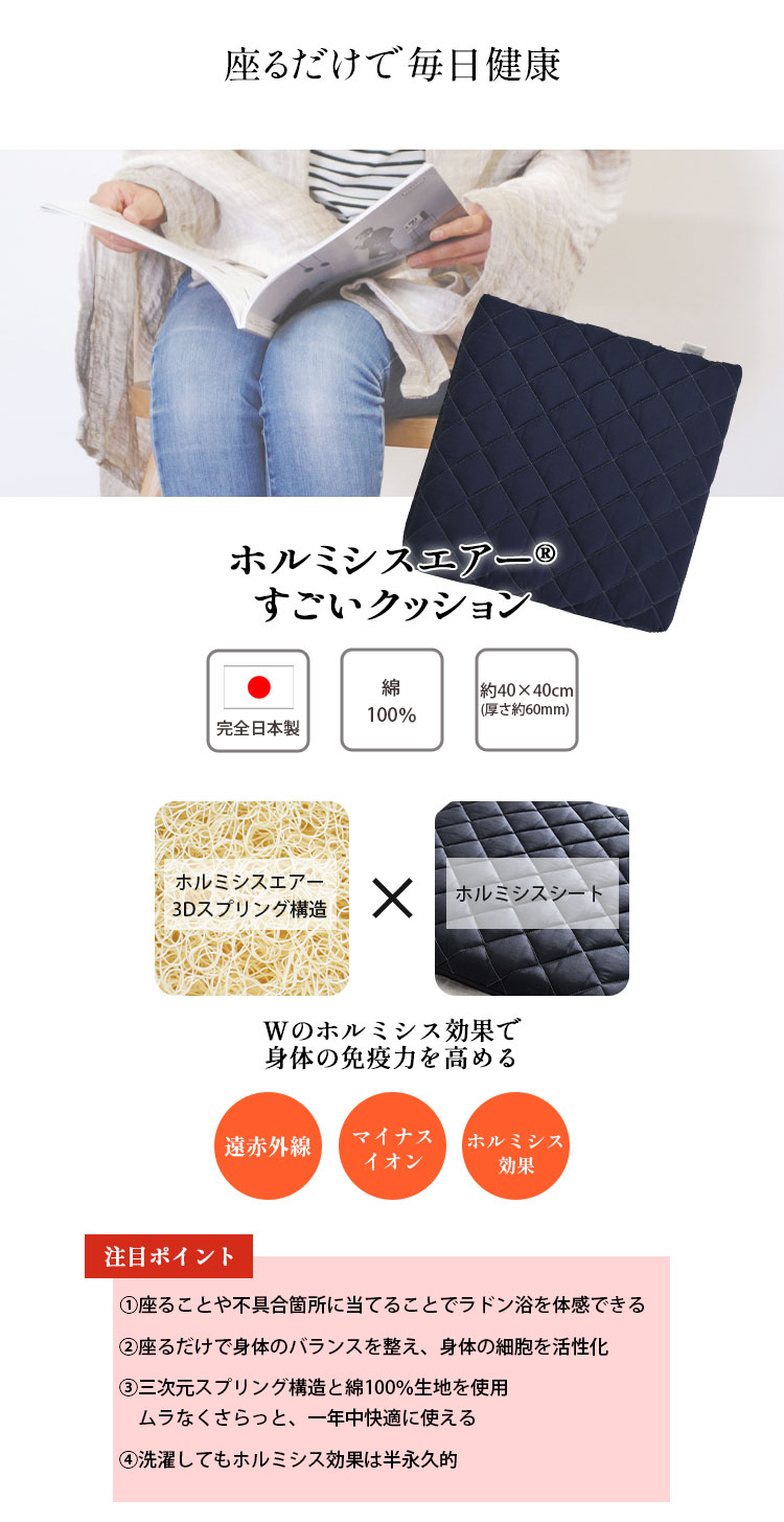 ホルミシスエアー すごいクッション 約40×40cm 厚さ6cm 完全日本