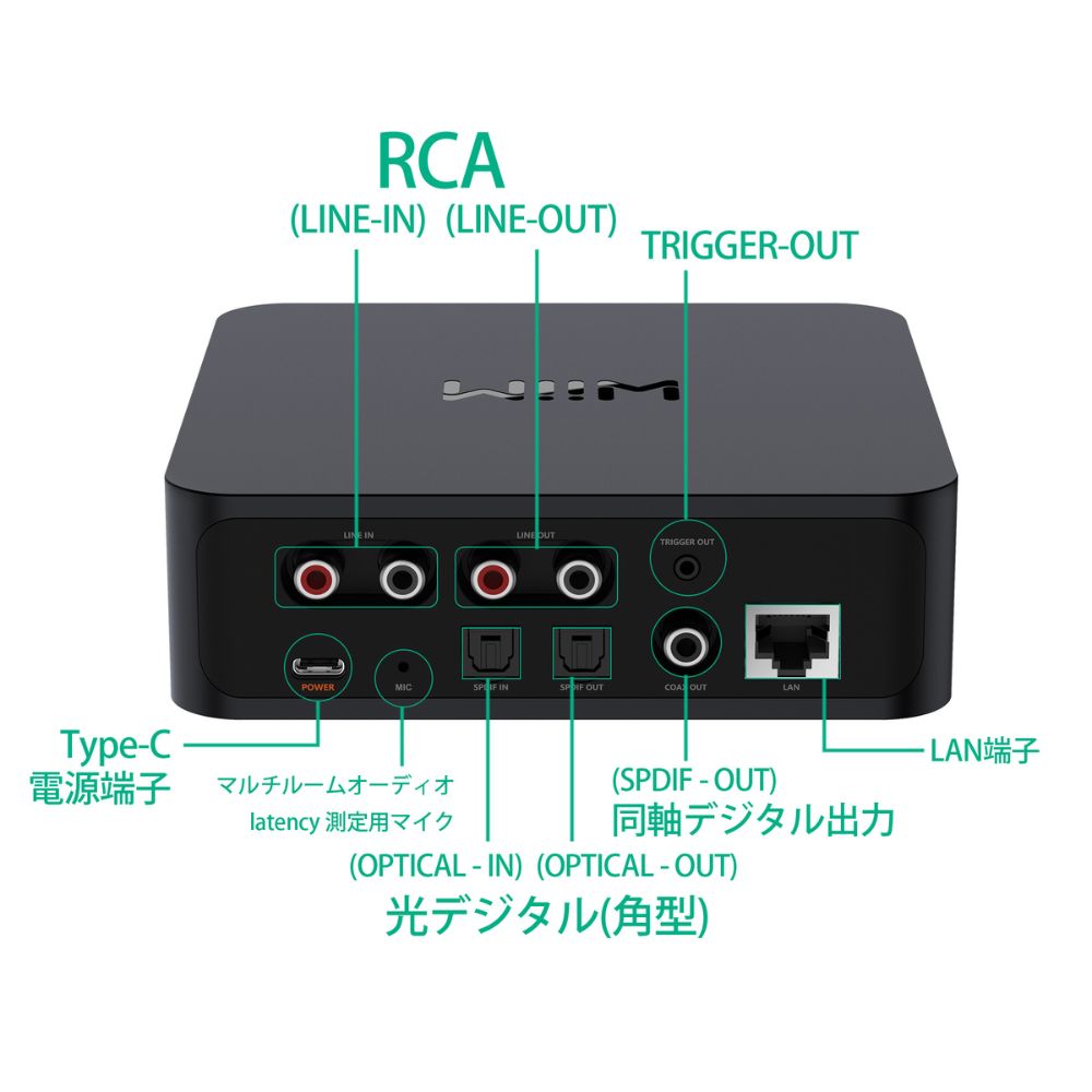 WiiM WiiM Pro WiiM | ウィーム ネットワークストリーマー : Onsite