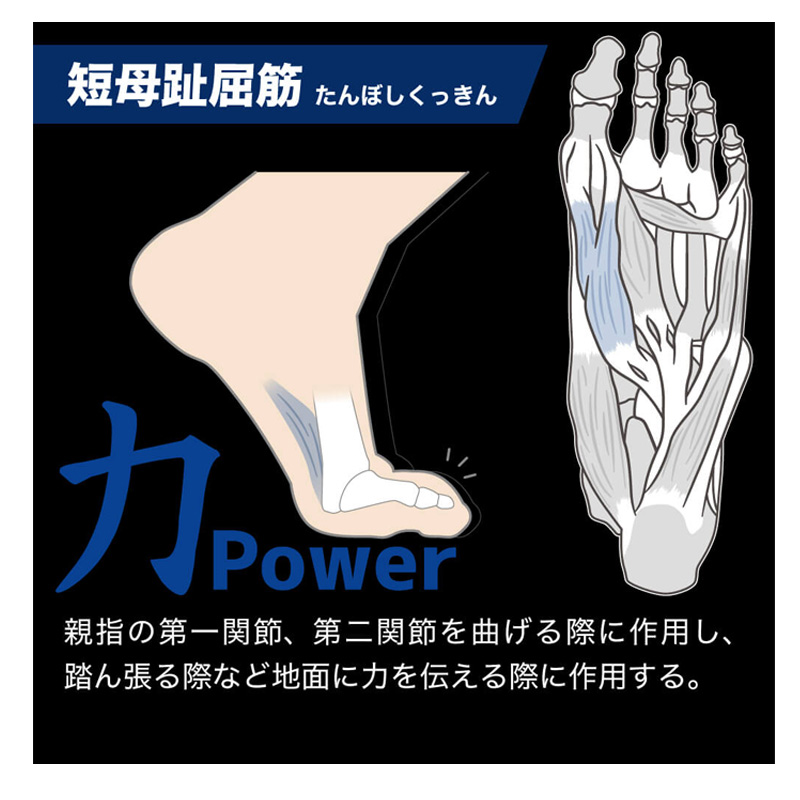 Activital PRO 5 アクティバイタル プロファイブ 5本指 ソックス テーピング-18