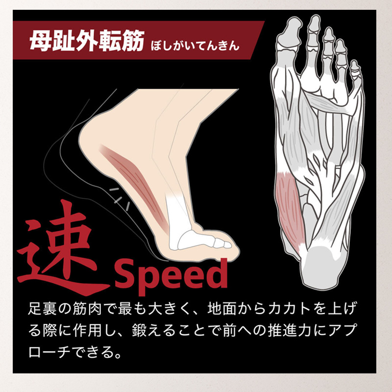 Activital PRO 5 アクティバイタル プロファイブ 5本指 ソックス テーピング-20