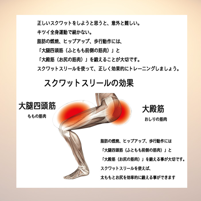 MIZUNO（ミズノ） ル・プリエ スクワット 椅子 トレーニング