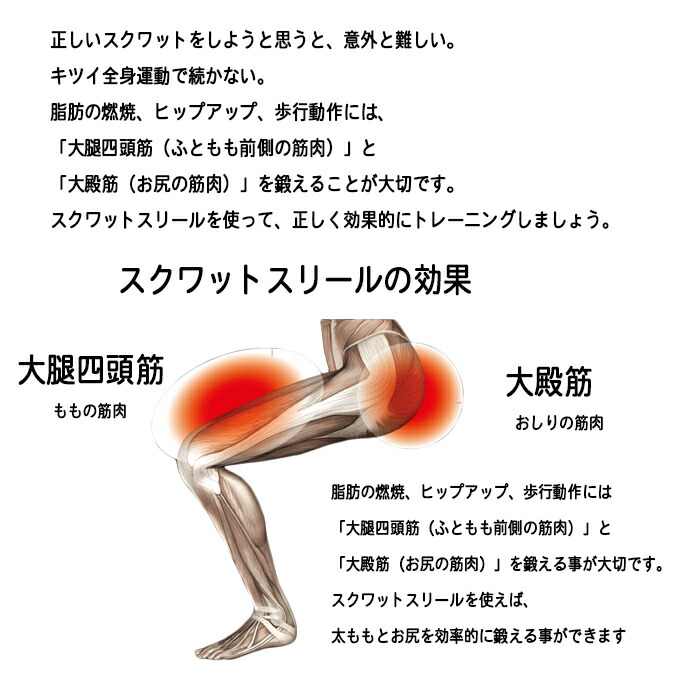日本最大級 ル プリエスクワット Mizuno 椅子 イス トレーニング スクワット 運動不足 足腰 健康 C3jhi905 流行に Esiba Tg