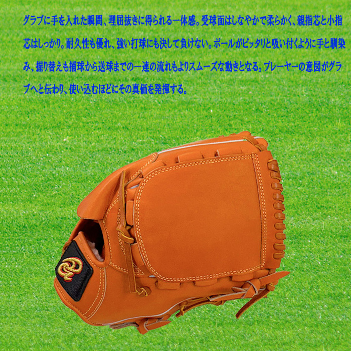 ドナイヤ Donaiya（ドナイヤ） 硬式投手用グラブ サイズ6 右投用 野球