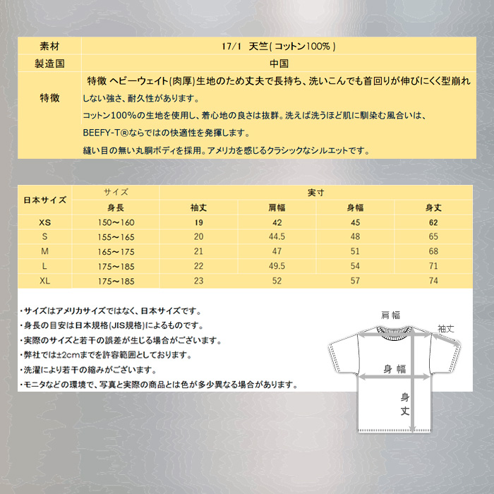ビーフィーTシャツ BEEFY-T ヘインズ 2枚組 H5180-2_07