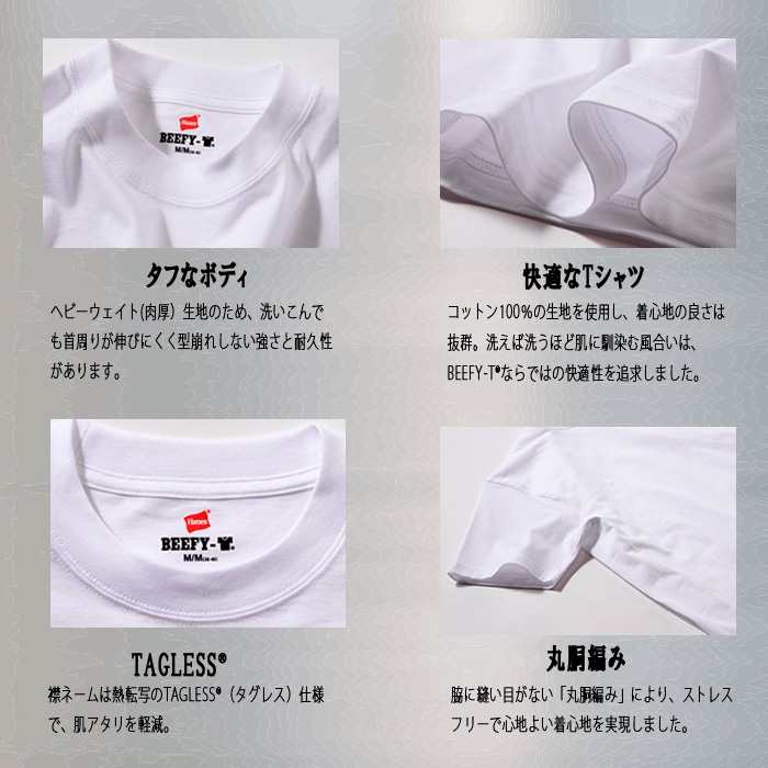 ビーフィーTシャツ BEEFY-T ヘインズ 2枚組 H5180-2_08