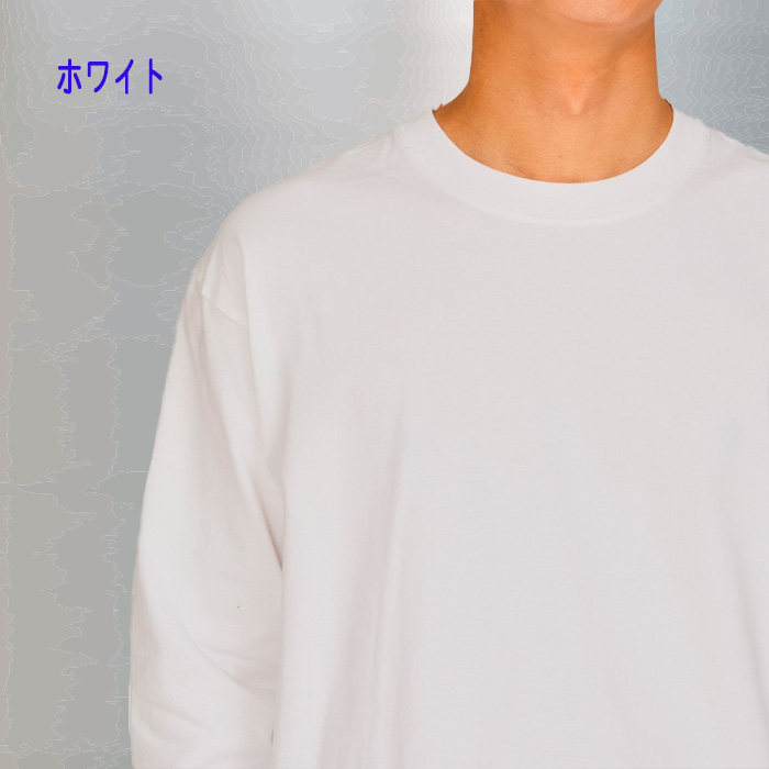 ヘインズの定番 BEEFY-ロングTシャツ 人気ＮＯ1 長袖 H5186_03