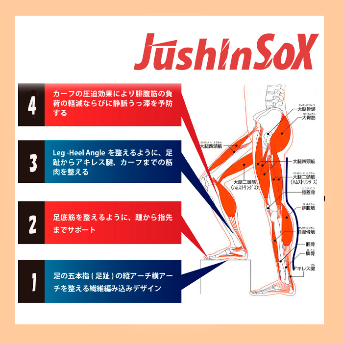 palourde パルード jushinsox 5本指 ハイソックス 前重心 野球 重心矯正 jushin-hi-07