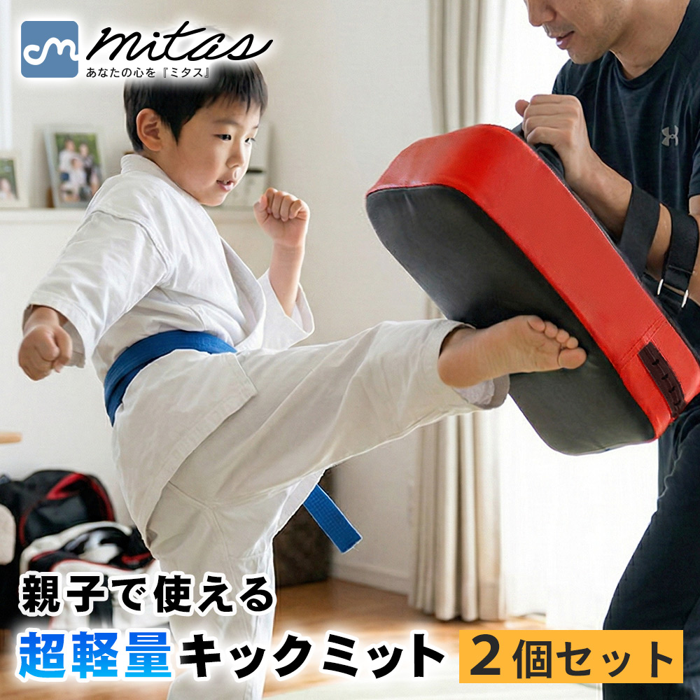 キックミット 2個セット 軽量 ボクシング 空手 格闘技 ボクササイズ