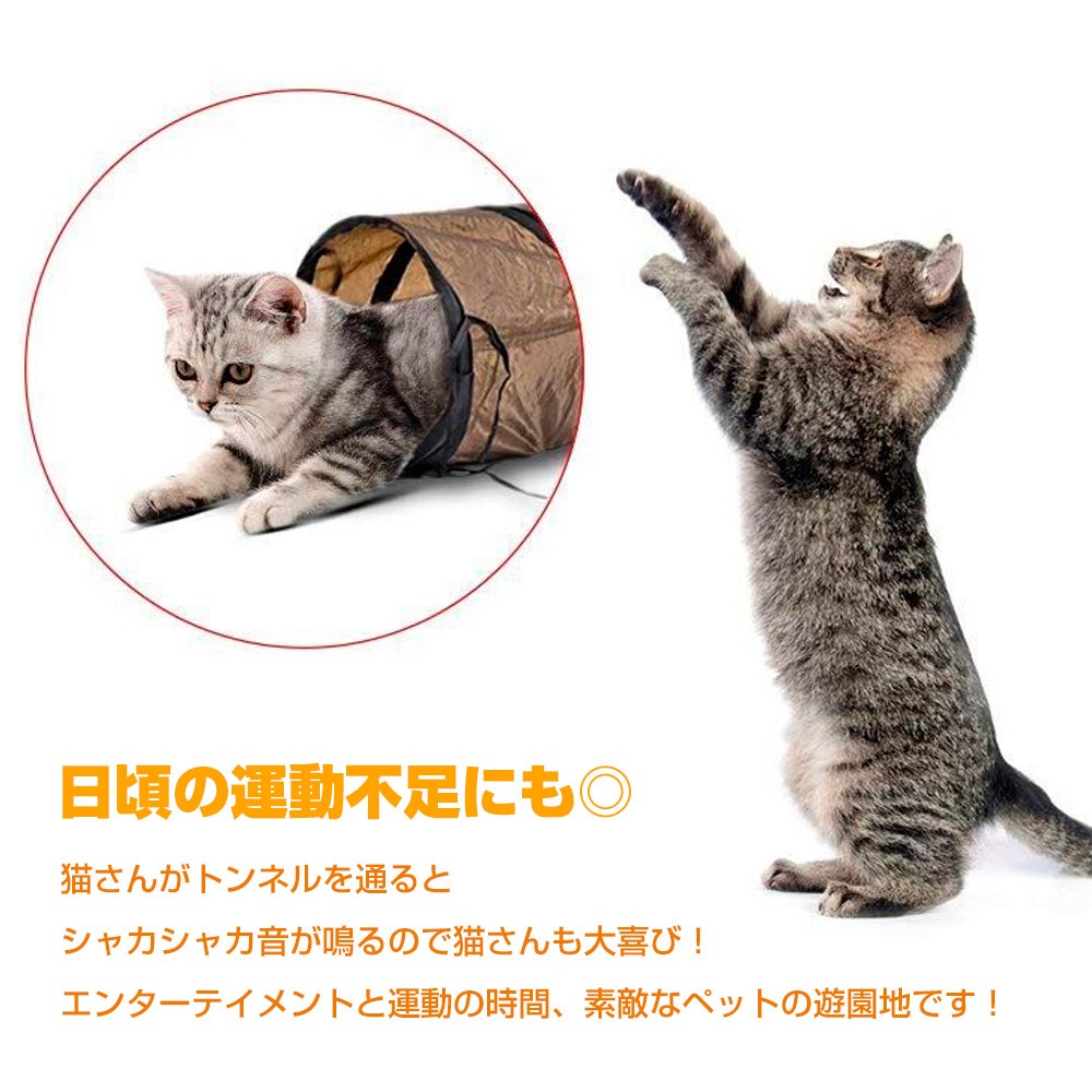 猫三さま専用 512Gsqn58rL._UF894,1000_QL80_.jpg