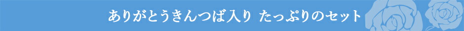 ありがとうきんつばたっぷりのきんつばセット