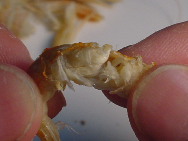 瀬戸内の干しえび