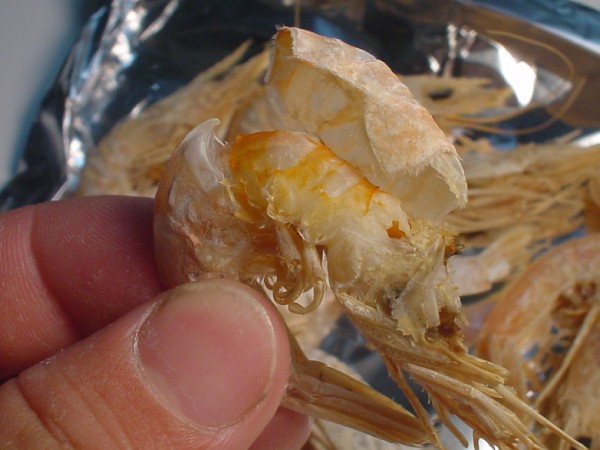 瀬戸内の干しエビ