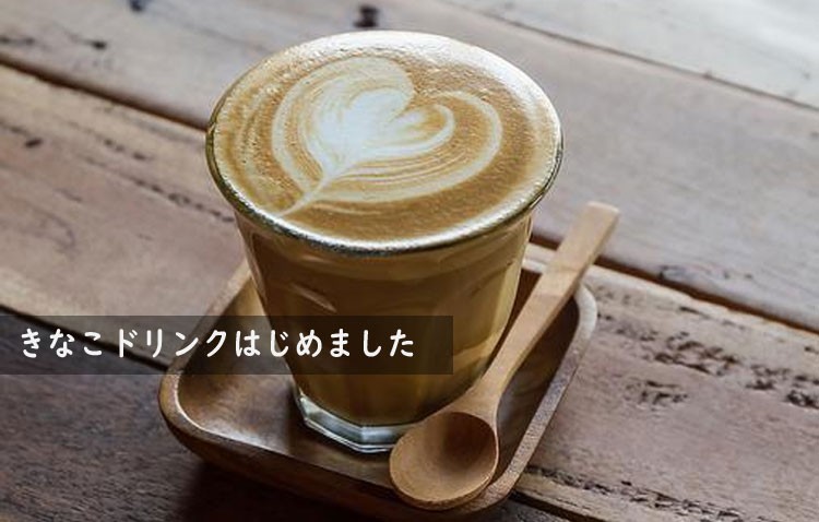 大川食品工業 きなこのおすすめストレート 12g×30袋 きな粉ドリンク