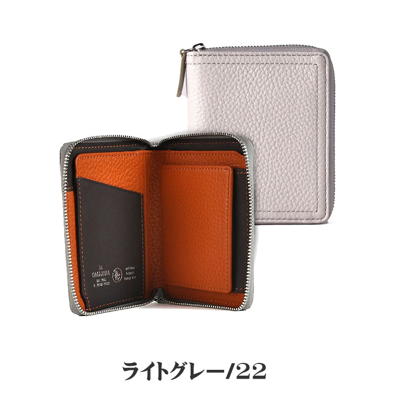 青緑ジャイアント ダグラジャパニカン2枚入 Introducing the 