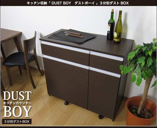 ゴミ箱 ダストボックス キッチン収納 3分別 キャスター付き 日本製