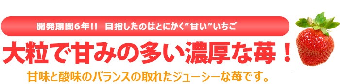 あまおう甘いイチゴを目指した