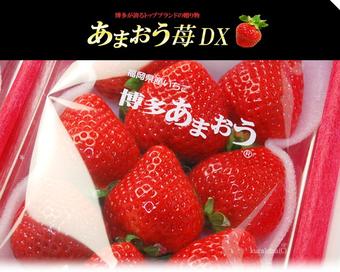 あまおうDXギフト販売の詳細案内