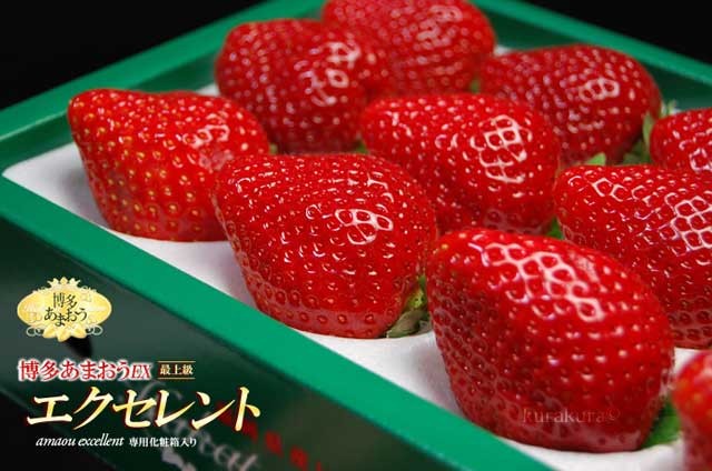 あまおう エクセレント (約450g) 福岡産 あまおう苺 あまおうEX いちご