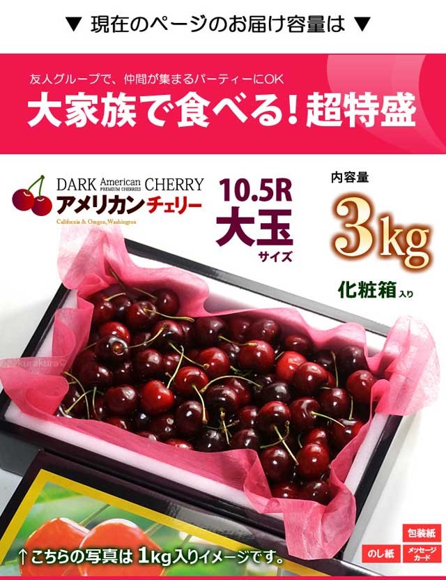 アメリカンチェリー ビング種 (約3kg) ワシントン州産 大粒 10.5R