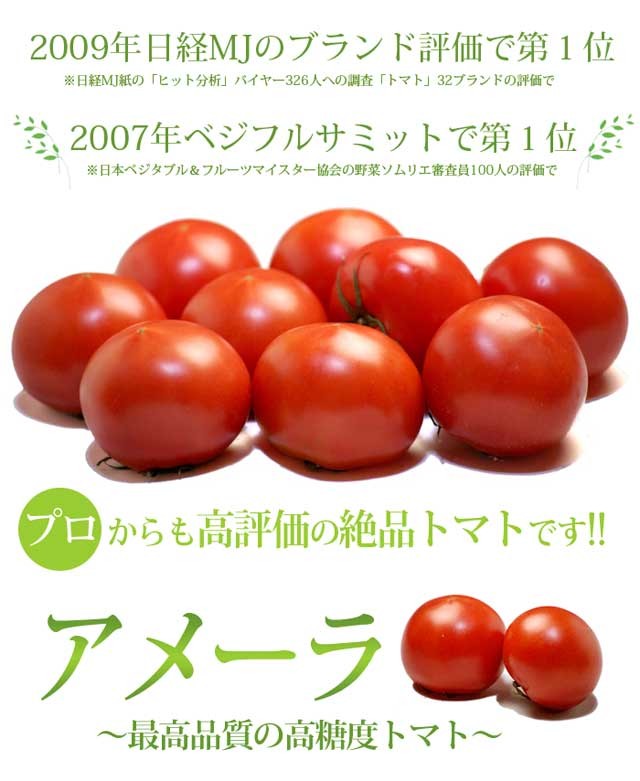 アメーラ トマト (約900g) 静岡産 秀品 フルーツトマト とまと 高糖度