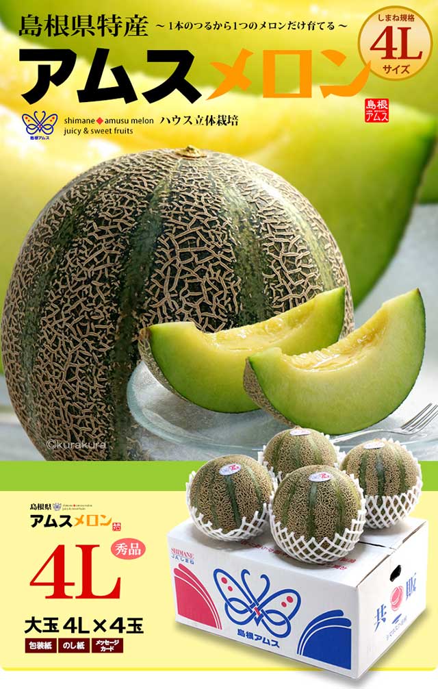 アムスメロン 4L×4玉 (約5kg) 島根産 赤秀 青肉 アムス メロン 益田