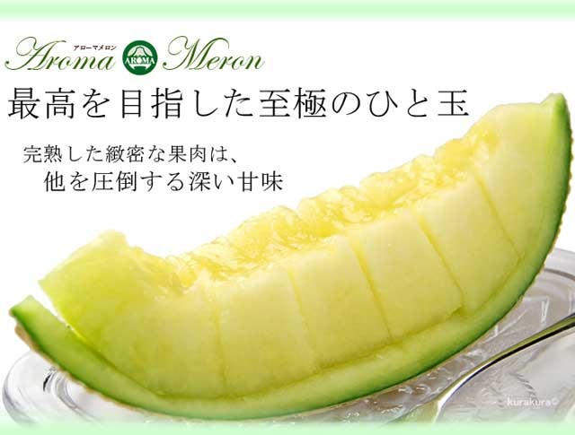 すわこ　　静岡　高級アールスメロン4玉　隔離栽培　アローマ pd_cce14b53e65c4567302256211f1