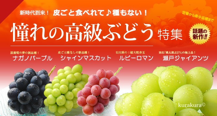 ぶどう特集