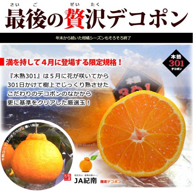 デコポンページ 木熟 デコポン 301 (約3kg) 和歌山産 でこぽん 秀品 柑橘 贈答 ギフト