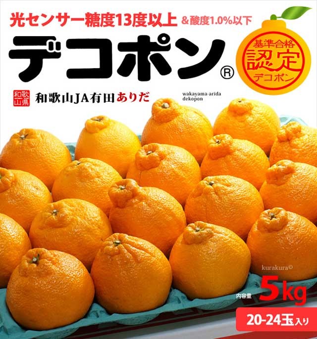 有田 デコポン (20-24玉/約5kg) 和歌山産 デコポン でこぽん 秀品 贈答