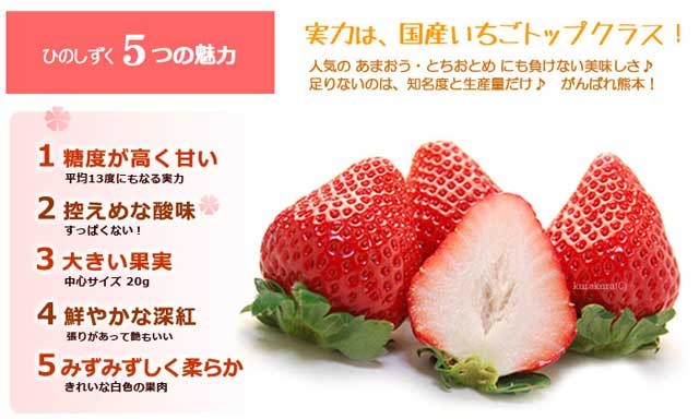 いちごさん専用　上下セット　Lサイズ 農家直送！】完熟いちご（350g×3パック）・いちごジャムセット（150g