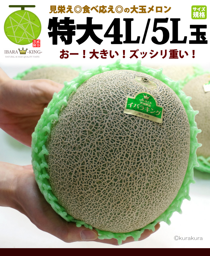 イバラキング 4L-5L×2玉 (約3kg以上) 茨城産 秀品 茨城王 メロン