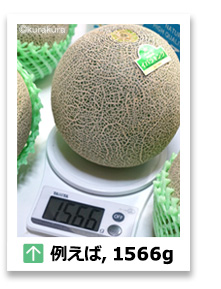 イバラキング3L玉1566g