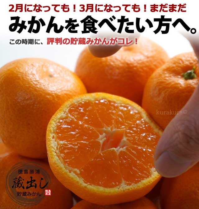 蔵出し 生比奈 みかん (約10kg) 徳島県勝浦町産 秀品 蔵出しみかん