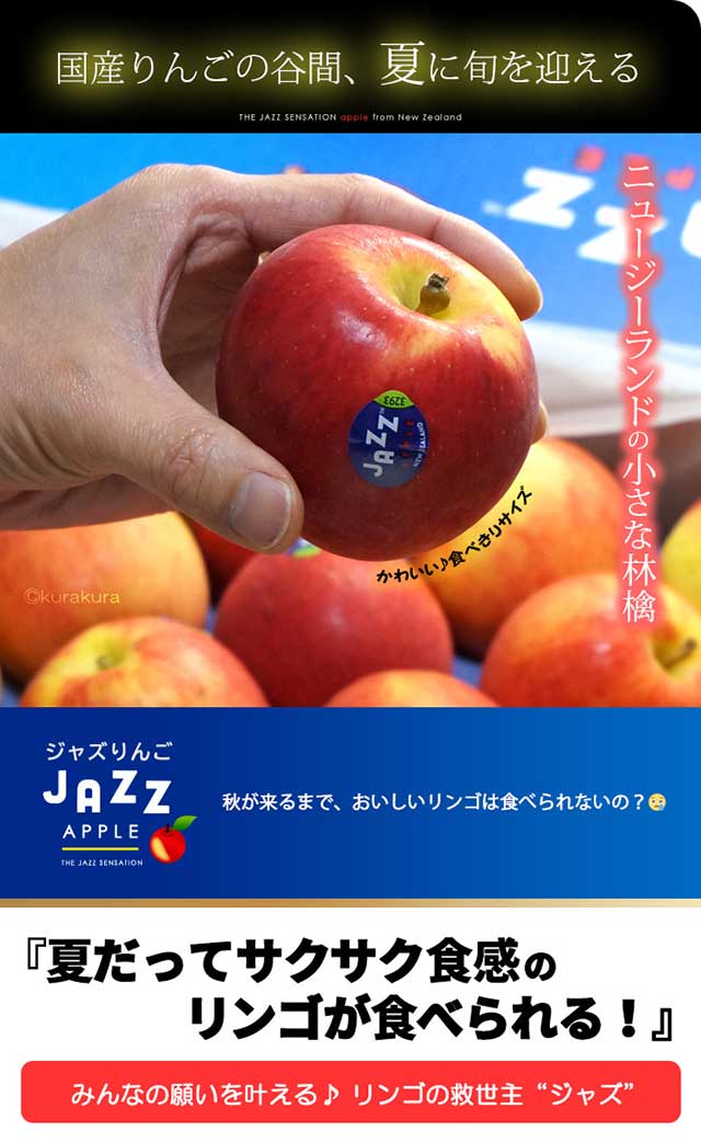 jazz りんご (約4.5kg) ニュージーランド産 ジャズ りんご リンゴ 林檎 