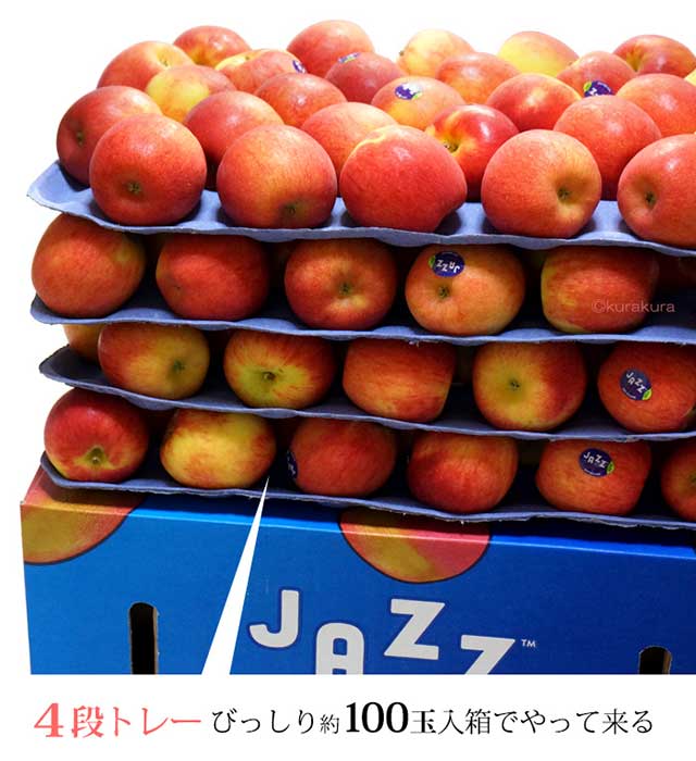 jazz りんご (約18kg) ニュージーランド産 ジャズ リンゴ 林檎
