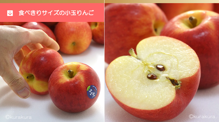 ジャズりんご食べきり小玉サイズ
