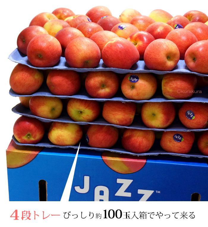 4段トレー100玉入り箱でやって来る