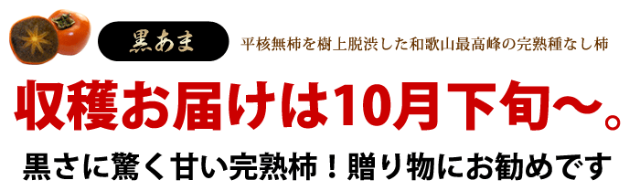 紀の川柿「黒あま」の販売詳細案内